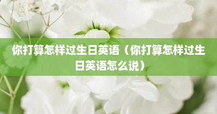 你打算怎样过生日英语（你打算怎样过生日英语怎么说）