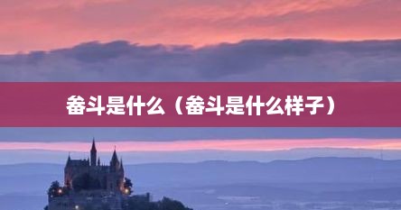 畚斗是什么（畚斗是什么样子）