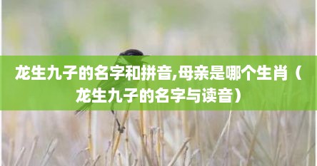 龙生九子的名字和拼音,母亲是哪个生肖（龙生九子的名字与读音）