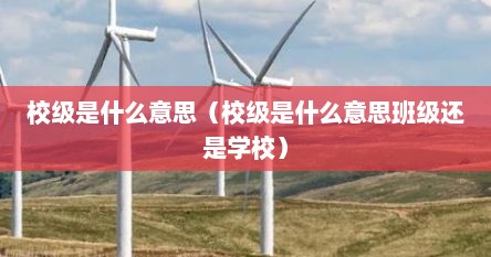 校级是什么意思（校级是什么意思班级还是学校）
