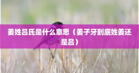 姜姓吕氏是什么意思（姜子牙到底姓姜还是吕）