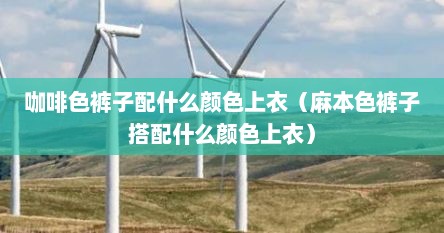 咖啡色裤子配什么颜色上衣（麻本色裤子搭配什么颜色上衣）