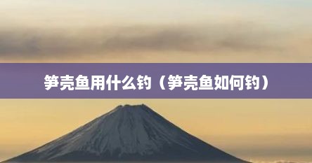 笋壳鱼用什么钓（笋壳鱼如何钓）