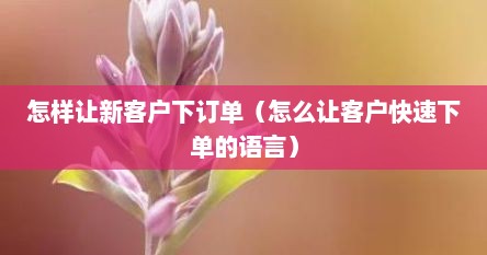 怎样让新客户下订单（怎么让客户快速下单的语言）