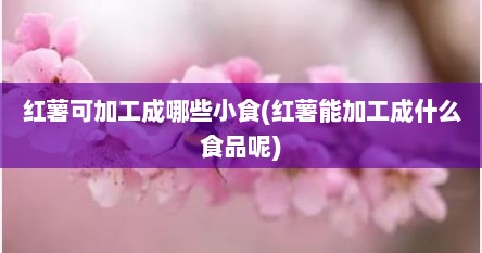 红薯可加工成哪些小食(红薯能加工成什么食品呢)
