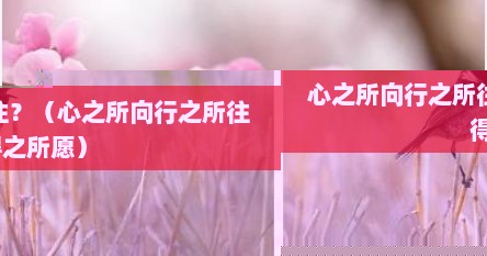 心之所向行之所往？（心之所向行之所往得之所愿）
