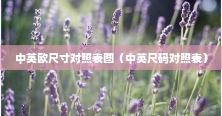 中英欧尺寸对照表图（中英尺码对照表）