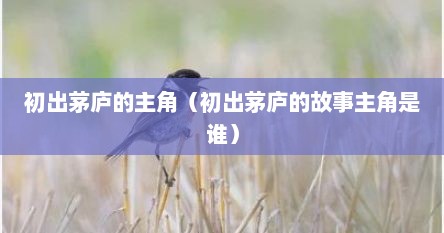 初出茅庐的主角（初出茅庐的故事主角是谁）