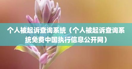 个人被起诉查询系统（个人被起诉查询系统免费中国执行信息公开网）
