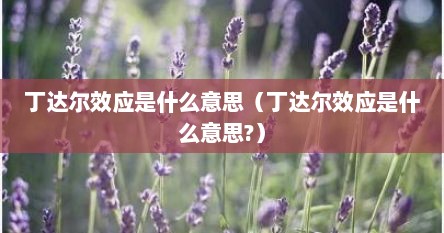 丁达尔效应是什么意思（丁达尔效应是什么意思?）