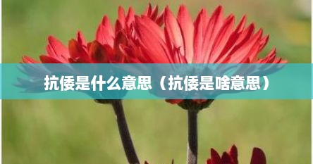 抗倭是什么意思（抗倭是啥意思）