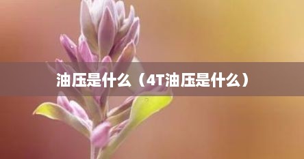 油压是什么（4T油压是什么）