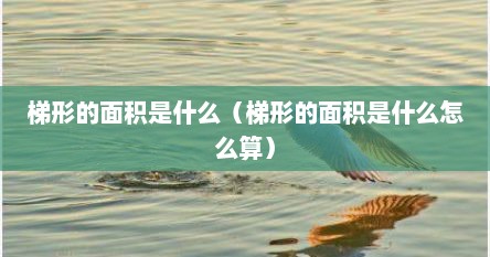 梯形的面积是什么（梯形的面积是什么怎么算）