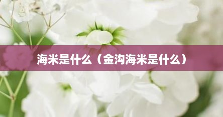 海米是什么（金沟海米是什么）