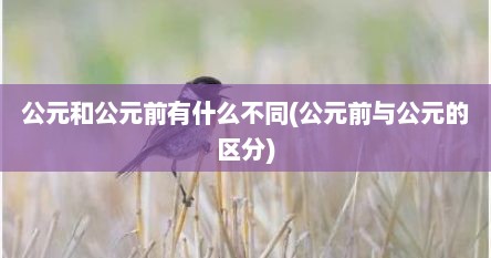 公元和公元前有什么不同(公元前与公元的区分)