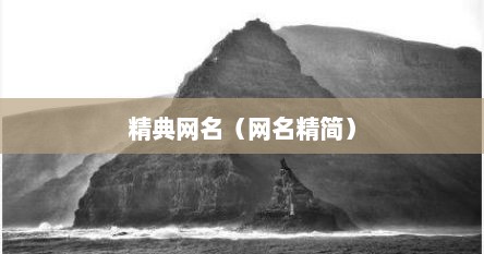 精典网名（网名精简）