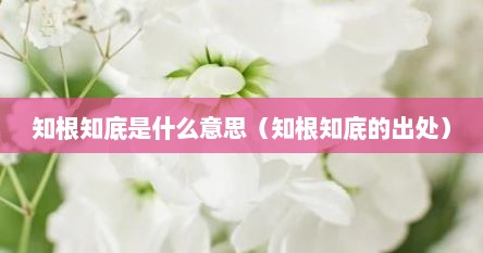 知根知底是什么意思（知根知底的出处）