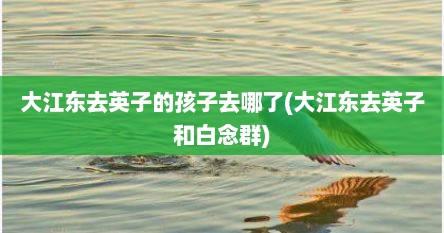 大江东去英子的孩子去哪了(大江东去英子和白念群)