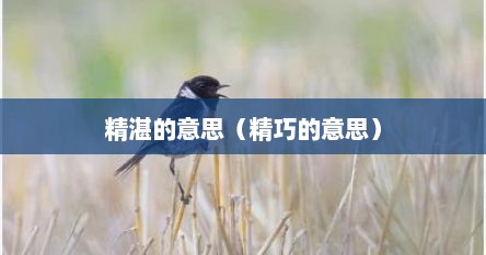 精湛的意思（精巧的意思）