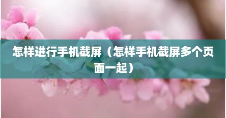 手机多页截图怎么操作（手机怎么把几个截图放一起）
