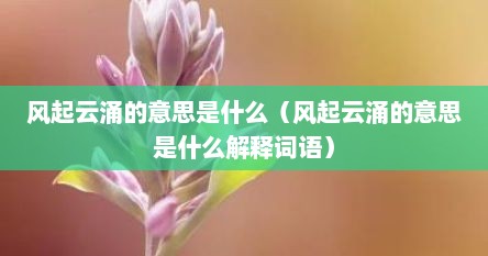 风起云涌的意思是什么（风起云涌的意思是什么解释词语）