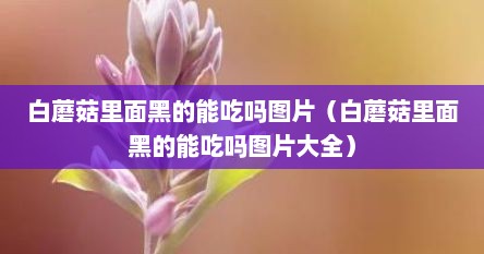 白蘑菇里面黑的能吃吗图片（白蘑菇里面黑的能吃吗图片大全）