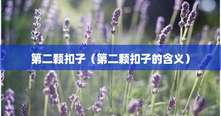 第二颗扣子（第二颗扣子的含义）