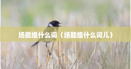 场能组什么词（场能组什么词儿）