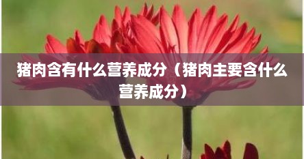 猪肉含有什么营养成分（猪肉主要含什么营养成分）