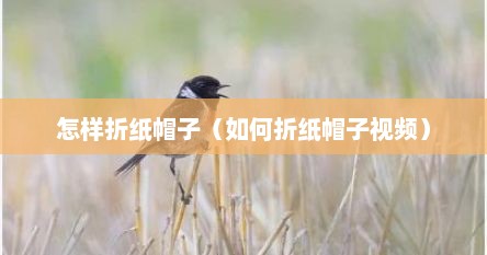 怎样折纸帽子（如何折纸帽子视频）