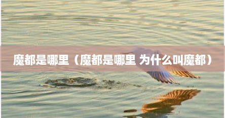 魔都是哪里（魔都是哪里 为什么叫魔都）