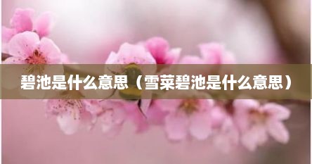 碧池是什么意思（雪菜碧池是什么意思）