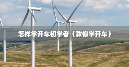 怎样学开车初学者（教你学开车）