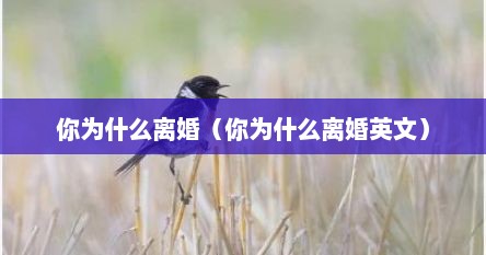你为什么离婚（你为什么离婚英文）