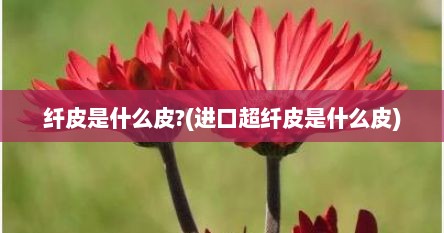 纤皮是什么皮?(进口超纤皮是什么皮)