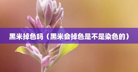 黑米掉色吗（黑米会掉色是不是染色的）