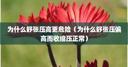 为什么舒张压高更危险（为什么舒张压偏高而收缩压正常）