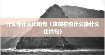 什么像什么比喻句（玫瑰花似什么像什么比喻句）