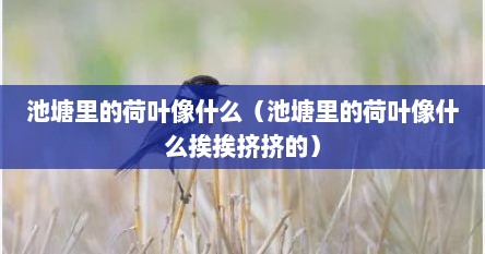池塘里的荷叶像什么（池塘里的荷叶像什么挨挨挤挤的）