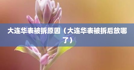 大连华表被拆原因（大连华表被拆后放哪了）