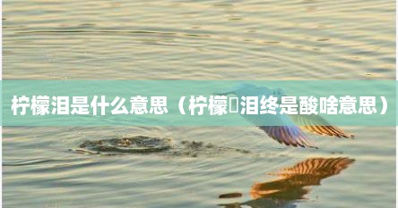 柠檬泪是什么意思（柠檬渃泪终是酸啥意思）