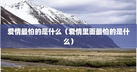 爱情最怕的是什么（爱情里面最怕的是什么）
