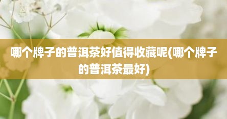 哪个牌子的普洱茶好值得收藏呢(哪个牌子的普洱茶最好)