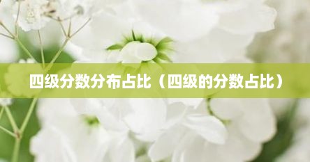 四级分数分布占比（四级的分数占比）