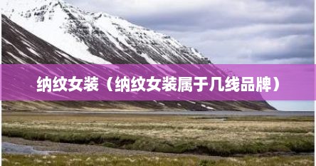 纳纹女装（纳纹女装属于几线品牌）