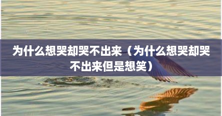 为什么想哭却哭不出来（为什么想哭却哭不出来但是想笑）