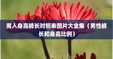 男人身高裤长对照表图片大全集（男性裤长和身高比例）