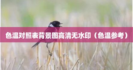 色温对照表背景图高清无水印（色温参考）