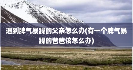 遇到脾气暴躁的父亲怎么办(有一个脾气暴躁的爸爸该怎么办)