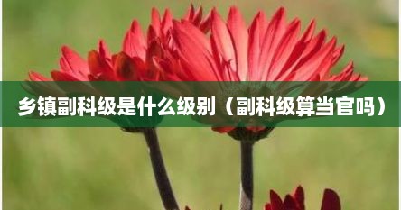 乡镇副科级是什么级别（副科级算当官吗）